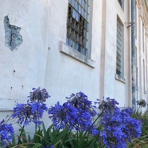 Meet your Posher, Anna kate